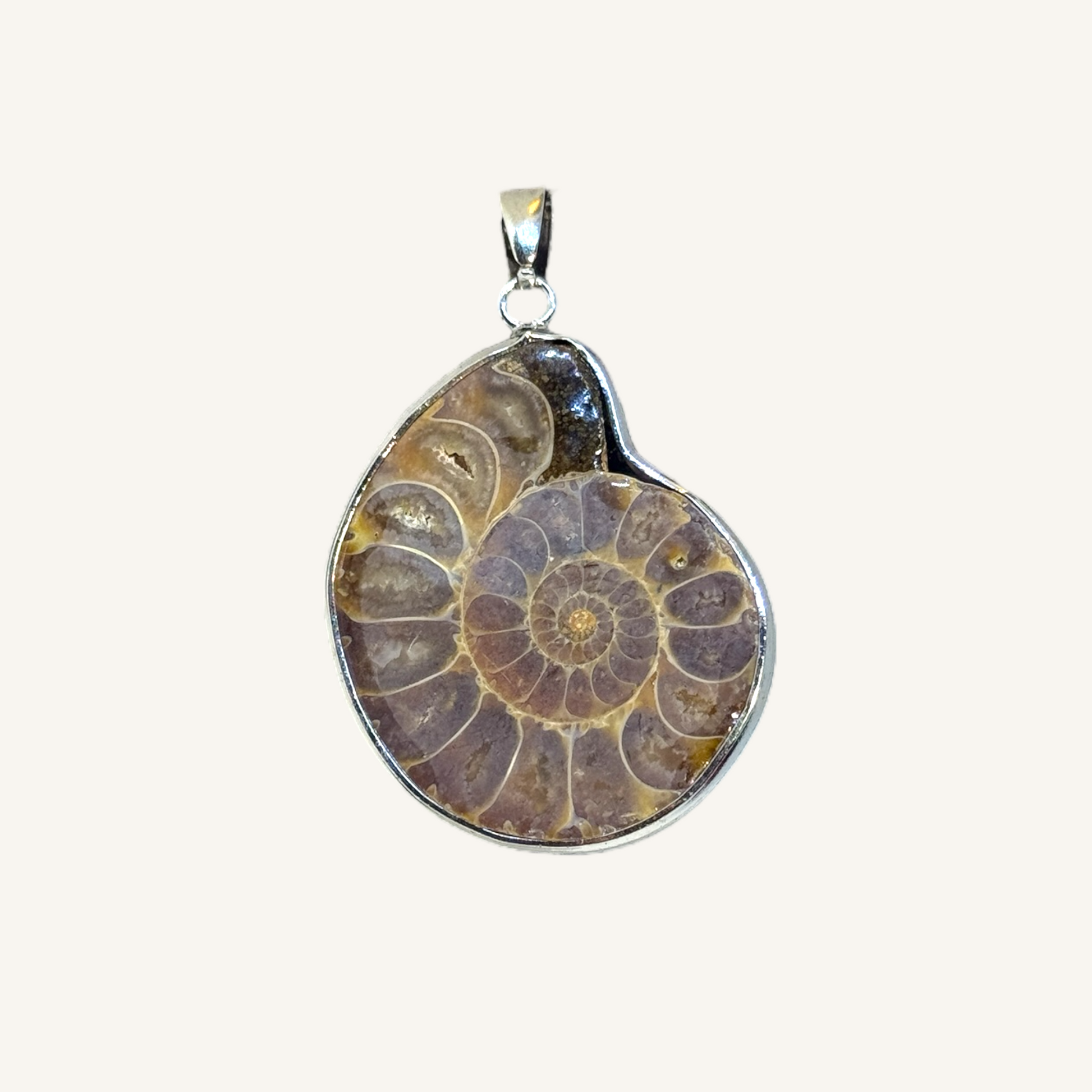Ammonite Fossil Pendant